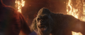 Thumbnail for version as of 23:21, 26 March 2024