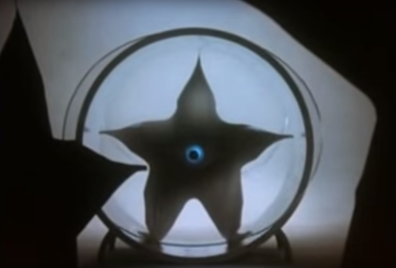 File:Star ppl movie 30.png
