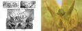 Thumbnail for version as of 14:22, 14 April 2022