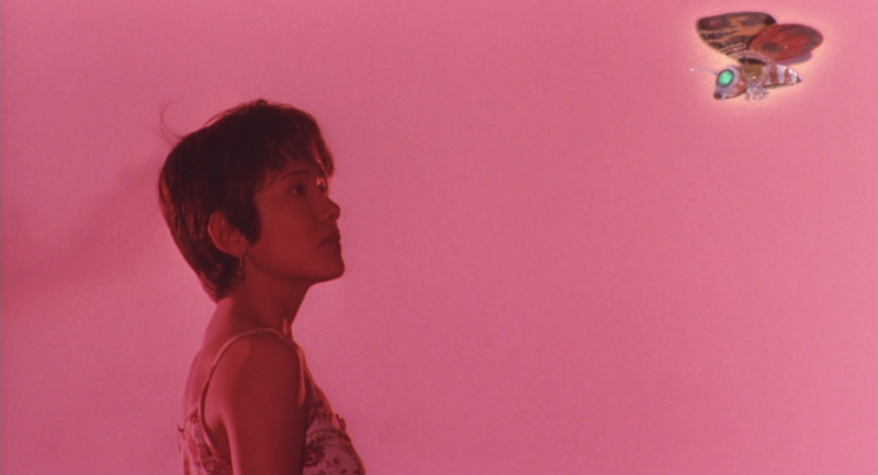 File:Fairy Mothra & Miki Saegusa in Godzilla vs. SpaceGodzilla.png