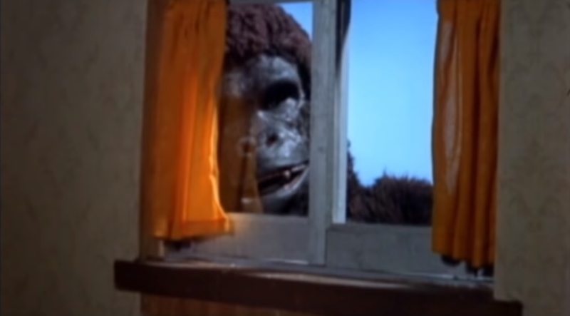 File:Ape-1976-South-Korea-January-2020-06.png