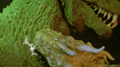 Thumbnail for version as of 01:20, 13 March 2019