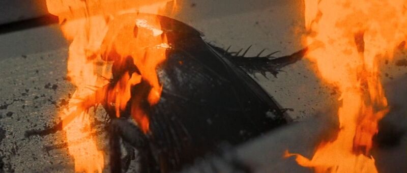 File:M Space Hunter Nebula Alien - True Form (1).jpg