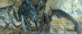 Thumbnail for version as of 05:56, 28 November 2021