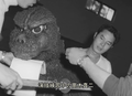Thumbnail for version as of 17:27, 2 February 2019