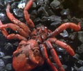 Thumbnail for version as of 18:52, 23 July 2016