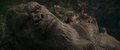 Thumbnail for version as of 16:14, 1 March 2024