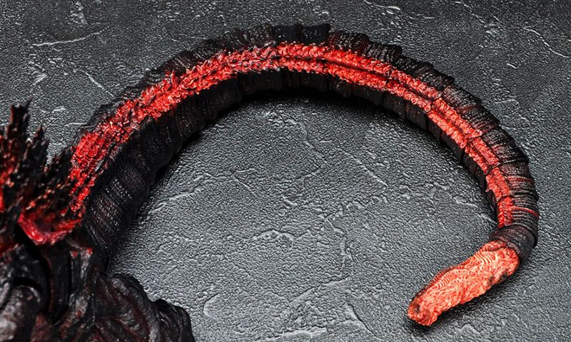 File:Tail from above.jpeg