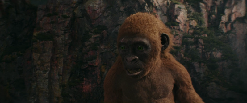 File:GxK - Suko 4.png
