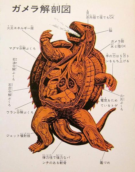 File:Anatomy of Gamera.jpg