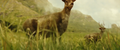 Thumbnail for version as of 00:31, 16 April 2024