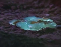 Thumbnail for version as of 07:32, 8 February 2025