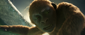 Thumbnail for version as of 00:28, 6 June 2024