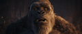 Thumbnail for version as of 11:29, 7 March 2024
