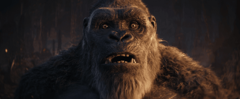 File:GxK - The most shocked face you'll ever see.png