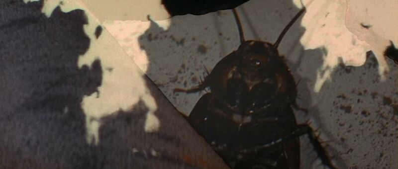 File:M Space Hunter Nebula Alien - True Form (3).jpg