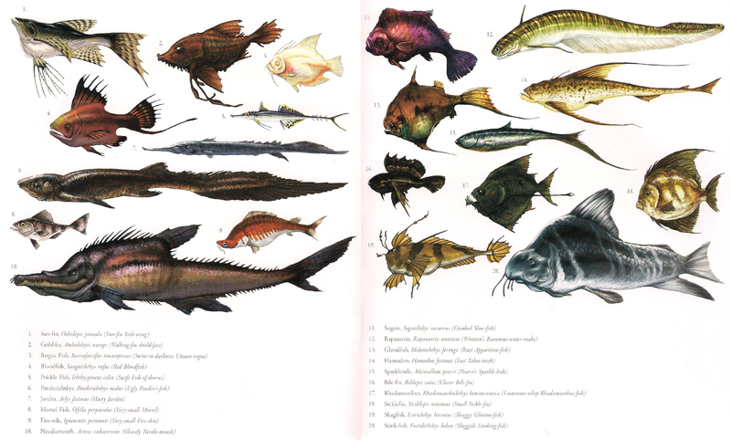 File:SI Fish.png