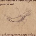 Thumbnail for version as of 19:59, 5 March 2019