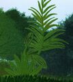 Thumbnail for version as of 17:37, 10 April 2021
