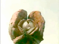Thumbnail for version as of 23:28, 7 July 2016