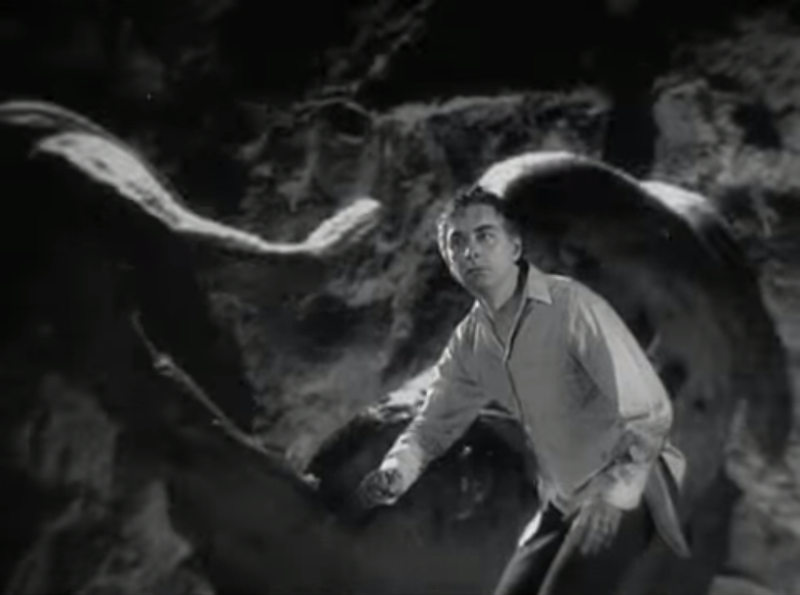 File:Peter Jackson Octo Insect 2.png