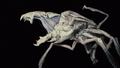 Thumbnail for version as of 23:57, 4 December 2021