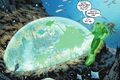 Thumbnail for version as of 18:32, 22 June 2024