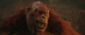 Thumbnail for version as of 20:35, 19 May 2024