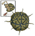 Thumbnail for version as of 01:43, 30 July 2016