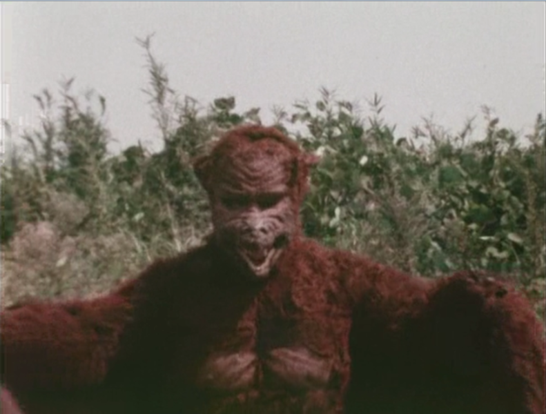 File:Go! Godman - Godman vs. Batman - 3 - In front of bushes.png