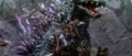 Thumbnail for version as of 17:51, 23 July 2016