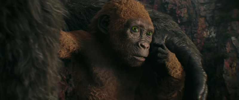 File:GxK - Suko with Kong 2.png