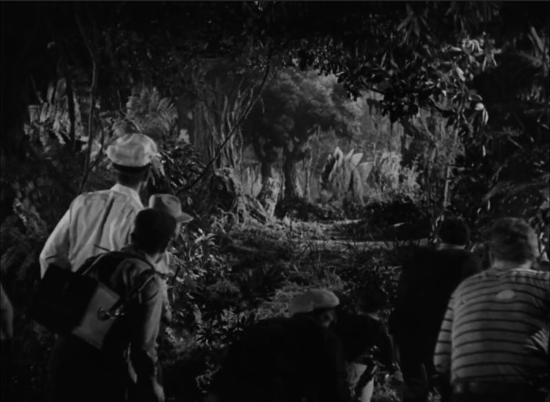 File:King-Kong-Kongmmentary-Redo-18.jpg