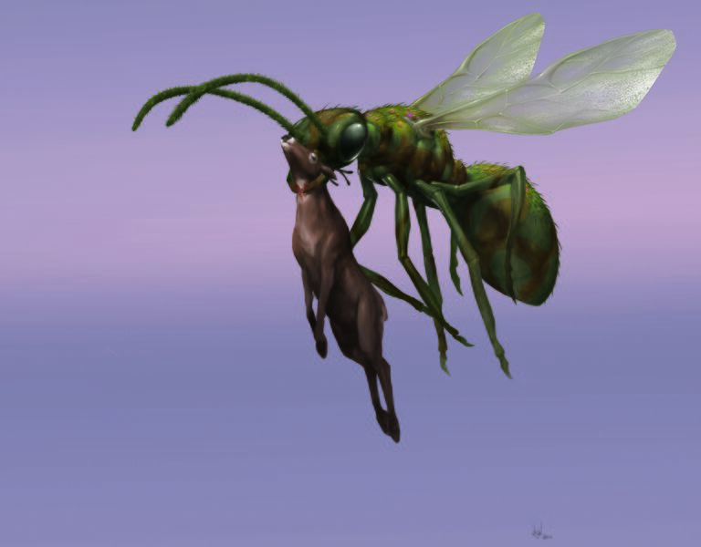 File:Snarehunter Valkyrie concept.jpg