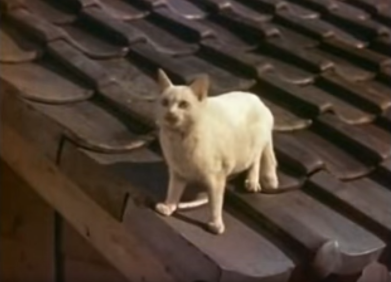 File:Star ppl movie 43.png
