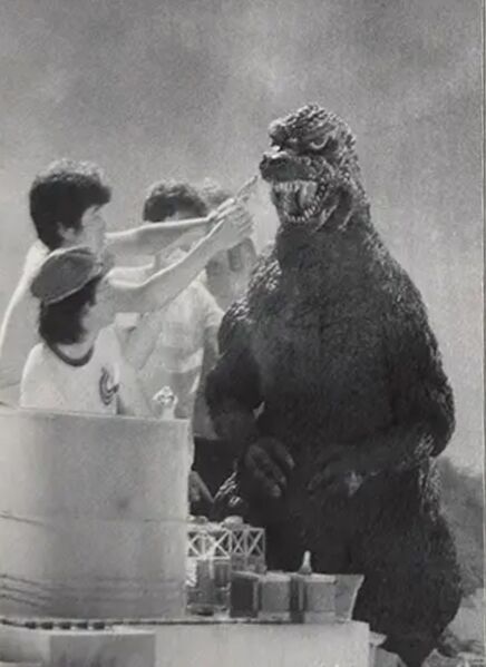 File:G84 bts 077.jpeg
