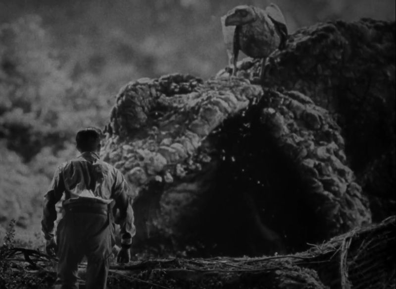 File:King-Kong-Kongmmentary-Redo-29.jpg