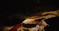 Thumbnail for version as of 04:26, 28 March 2019
