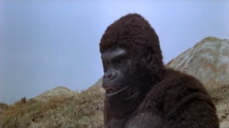 File:Ape-1976-South-Korea-January-2020-04.png