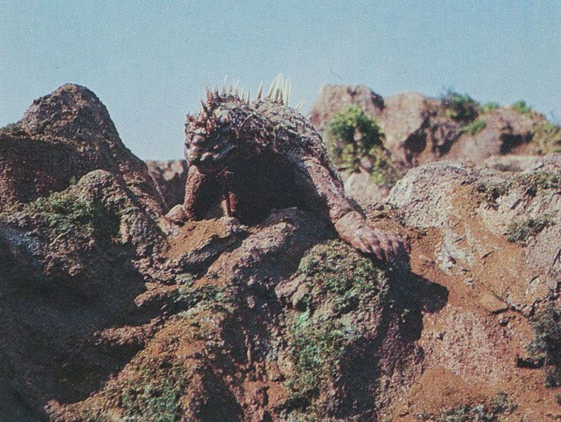 File:DAM - Varan On a Rock.jpg