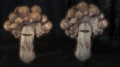 Thumbnail for version as of 08:36, 14 October 2022
