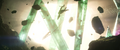 Thumbnail for version as of 00:28, 6 June 2024