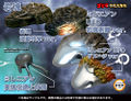 Thumbnail for version as of 03:27, 25 December 2016