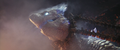 Thumbnail for version as of 09:22, 16 May 2024
