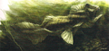 Thumbnail for version as of 00:53, 4 January 2018