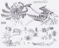 Thumbnail for version as of 00:44, 20 October 2021