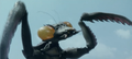 Thumbnail for version as of 18:13, 23 July 2016