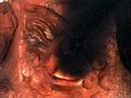 Thumbnail for version as of 23:25, 7 July 2016