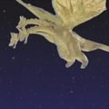 Thumbnail for version as of 04:55, 17 July 2016