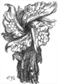 Thumbnail for version as of 22:23, 5 July 2016